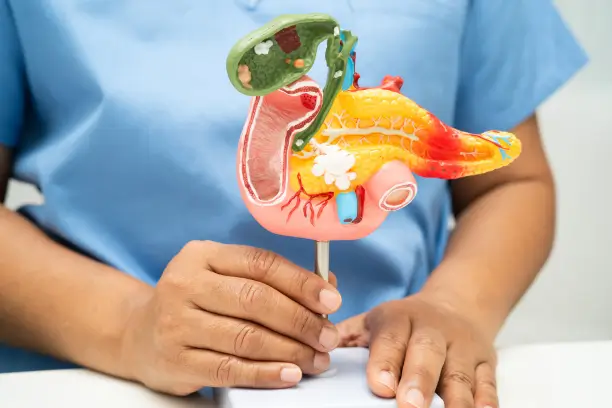 Pancreas & Bile Duct