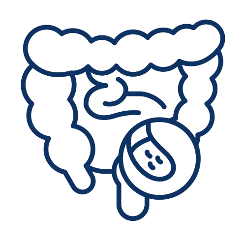 Appendicitis & Acute Abdomen